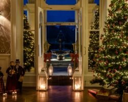 12 Days of Christmas Magic! Sign up for exclusive daily offers, don’t miss out!